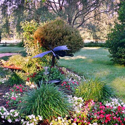 A garden with trees, shrubs and flowers