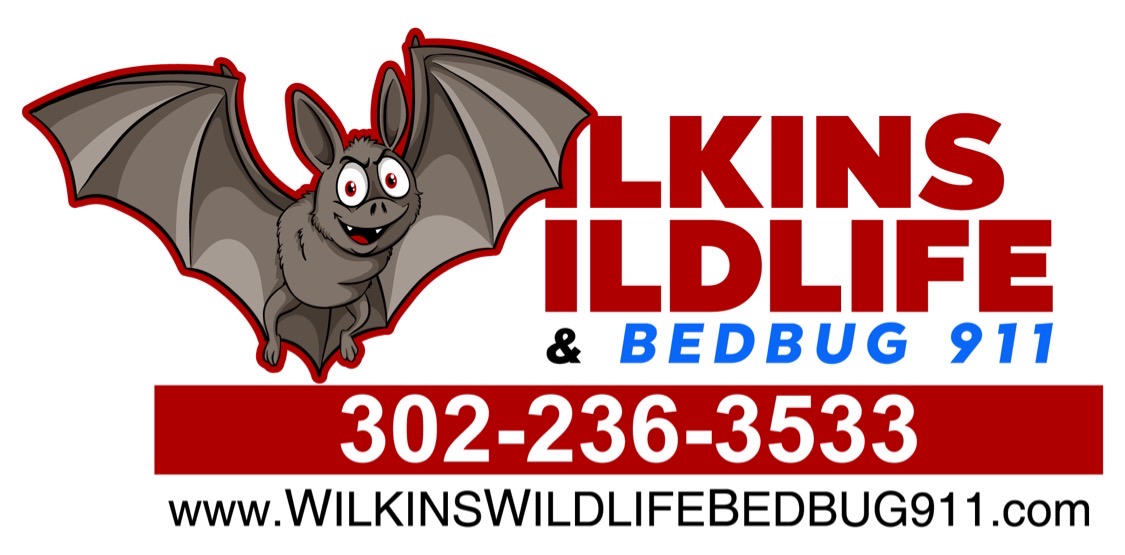 Wilkins Wildlife & Bedbug 911